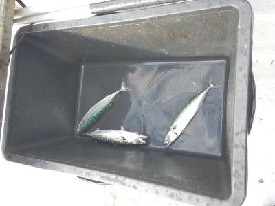 Nemohu doporučit tuto destinaci - všechno špatně !