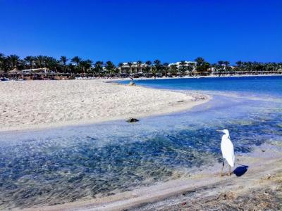 Prohlídka hotelu Royal Brayka Resort *****