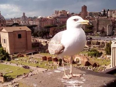 Vynikající průvodce 