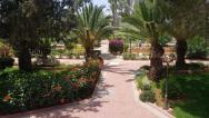 Merit Cyprus Garden - zahrada