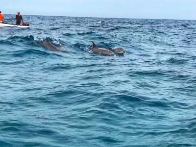 Perfektní dovolená