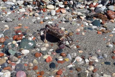 Příjemná dovolená s dětmi