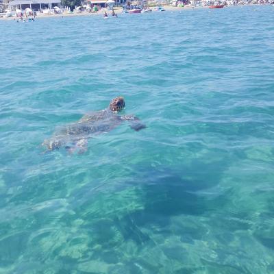 California Beach Hotel ***