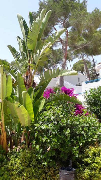 Příjemný čistý hotel a velmi příjemným personálem, velmi vlídným k dětem.