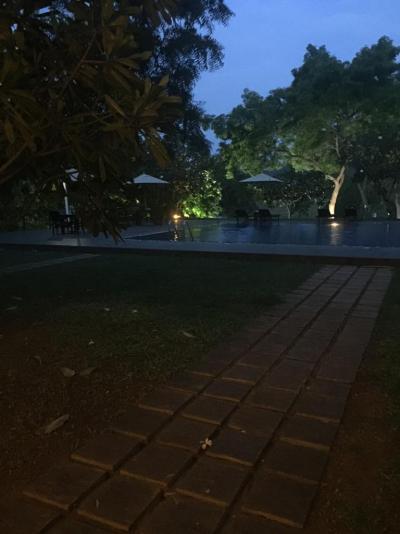 The Grand Tamarind Lake, Infocesta 2019