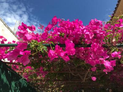 Naše letní dovolená na Zakynthosu