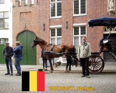 Poznávací zájezd -  	Anglie králů, umělců a učenců