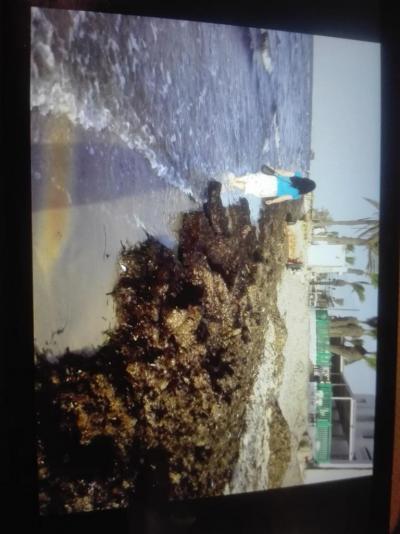 Hotel El Moradi Skanes