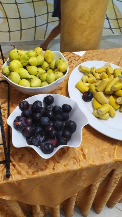 YAVOR PALACE REALISTICKÝMA OČIMA 