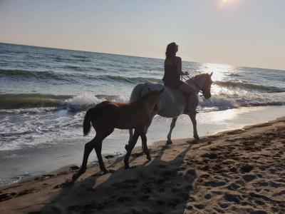 Příjemná dovolená