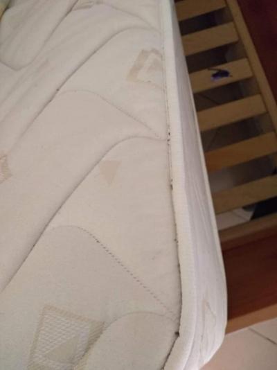 Apartmany polynesia 468