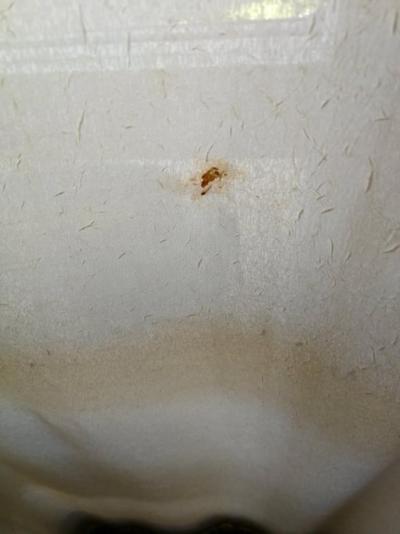 Již nikdy více !!!