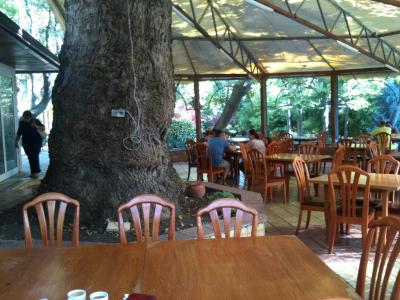 Hotel Estreya Rezidence