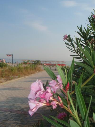 Nei Pori - srpen 2019