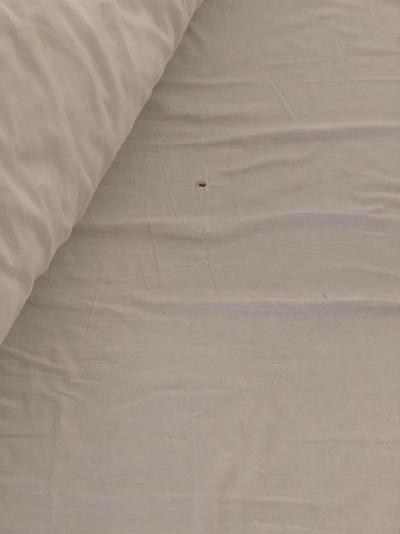 Ubytování v chatě katastrofa