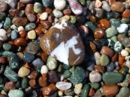kamínky na pláži