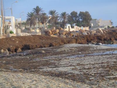 TUNISKO ZITA BEACH RESORT