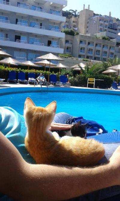 Dovolená v hotelu Lito -Ixia-Rhodos