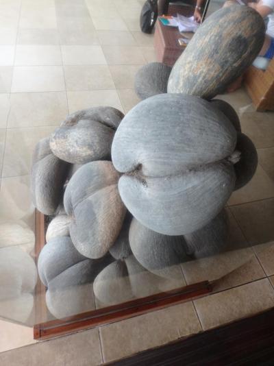 Prohlídka hotelu Coco de mer & Black Parrot Suites ****