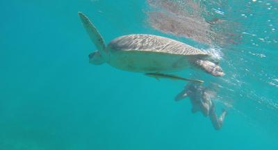 spokojená dovolená