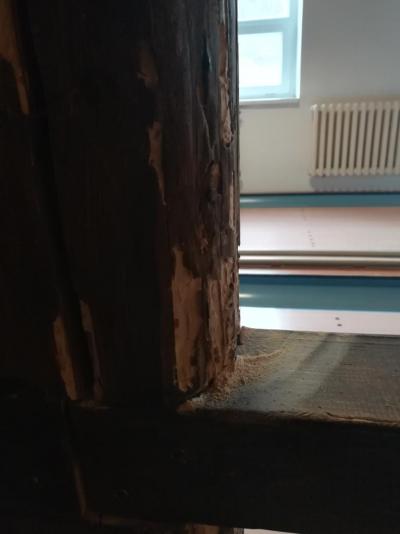 Všemina podzimní prázdniny 