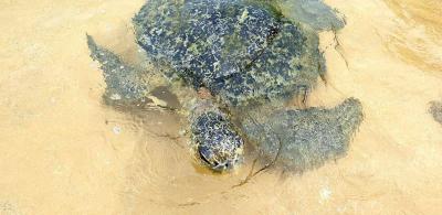 Prohlídka hotelu Hikka Tranz By Cinnamon