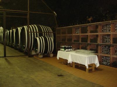 Ubytování ve Znojmě Hotel N