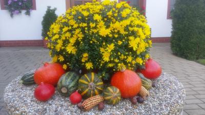 Kvalitní ubytování České Budějovice s profesionálním přístupem a ochotou personálu.