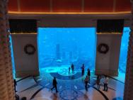 hotelové akvárium