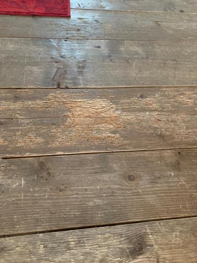 Landgut Edelweis recenze