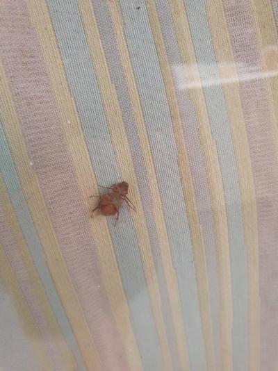 Dovolená 31.7 -7.8 2021