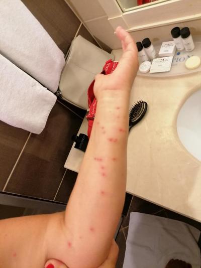 Hrůza - nejhorší dovolená