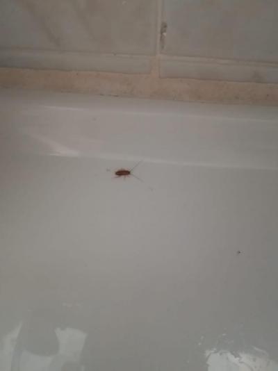 Nejhorší dovolena za můj zivot