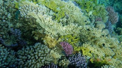 Krásná dovolená snů