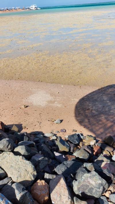 Magic Beach  **** hotel Hurgada