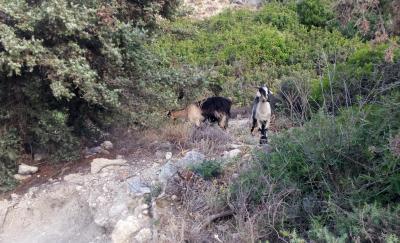 Paradise Studios - Faliraki - červen 2022