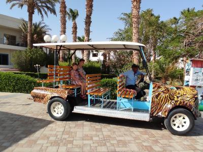 Marie Vracovska Cinkova