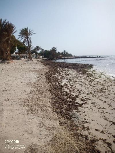 Hotel HARI CLUB BEACH RESORT