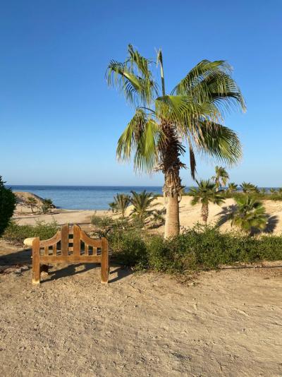 Jednou a stačilo ☹️