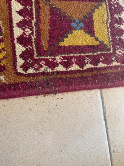 Ubytovanie veľmi ale že veľmi zle 