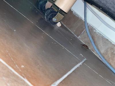 Tento hotel nedoporučuji