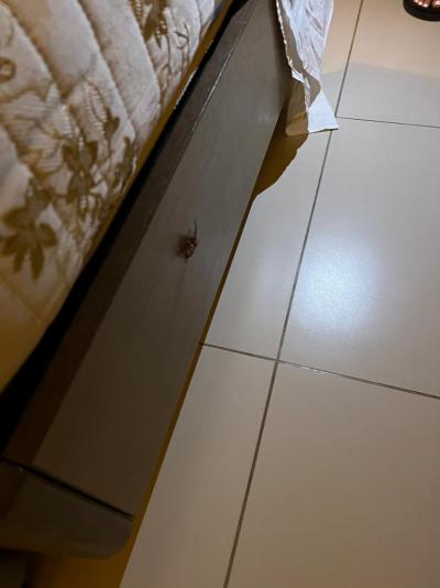 Nejhorší dovolená