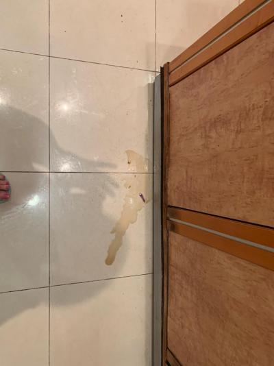 Hotel Fenix v r. 2022