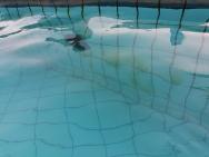 Horní bazén6