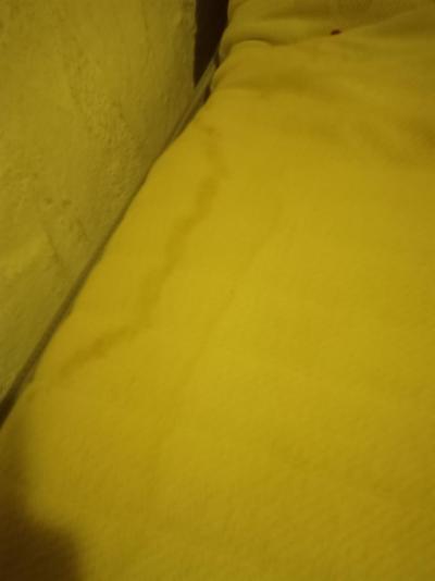 Plíseň a smdar zatuchliny 