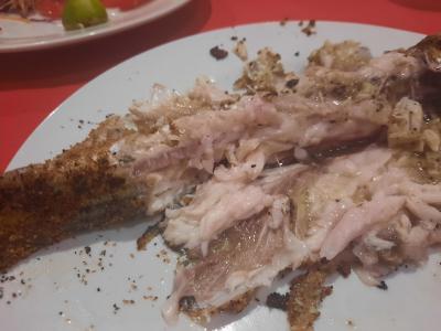 11 dní v arabském světě recenze od Honzi z Litvínova