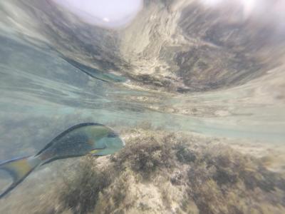 Velmi příjemná dovolená