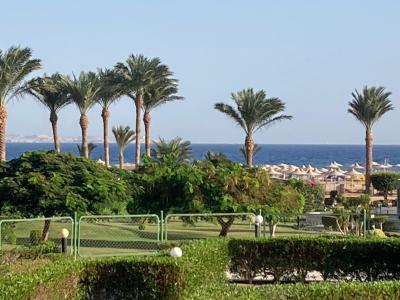 Celková spokojenost