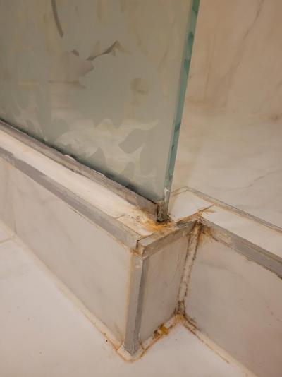 Švábi a plíseň v pokoji