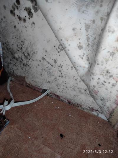 POZOR, POZOR, OBROVSKÁ KATASTROFA!!!